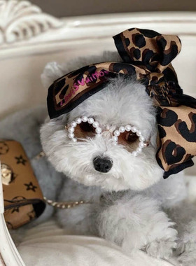 可爱宠物猫咪狗狗珍珠墨镜眼镜泰迪比熊吉娃娃拍照太阳镜头饰爱心