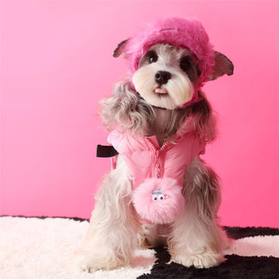 秋冬小狗狗衣服加厚保暖羽绒马甲约克夏雪纳瑞泰迪比熊宠物羽绒服