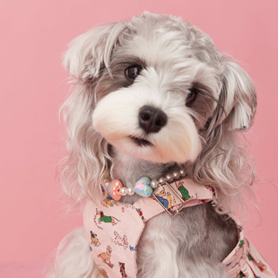 狗狗项链配饰宠物猫咪博美雪纳瑞约克夏泰迪比熊西施马尔济斯法斗