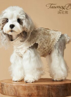 春夏汤尼熊小狗狗衣服泰迪雪纳瑞比熊约克夏马尔济斯柴犬裙子衬衫