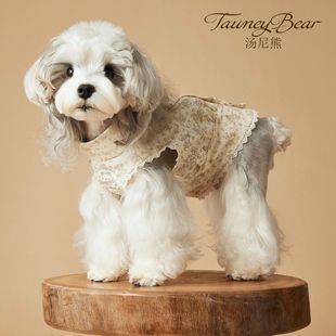 春夏汤尼熊小狗狗衣服泰迪雪纳瑞比熊约克夏马尔济斯柴犬裙子衬衫