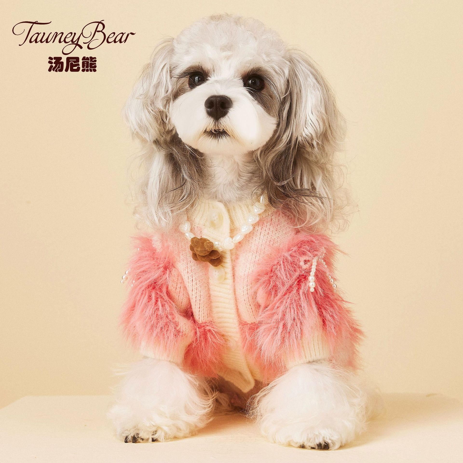 汤尼熊珍珠毛衣开衫马尔济斯博美