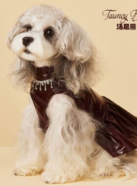 秋冬款狗狗衣服皮裙子马尔济斯约克夏雪纳瑞比熊泰迪博美宠物猫咪