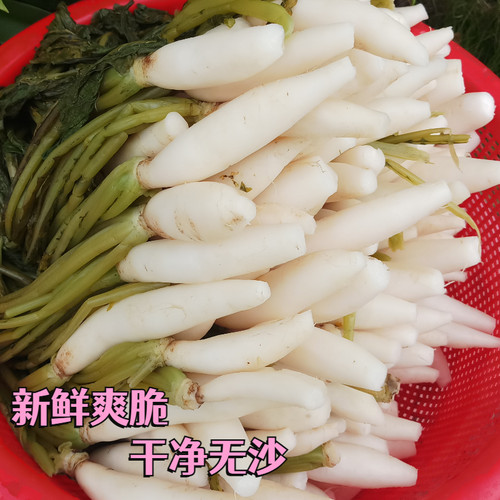 广西灵山特产农家自制萝卜菜