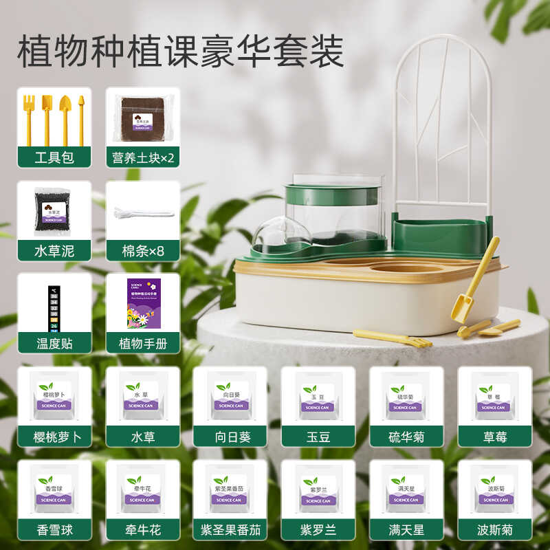 种植儿童植物生长观察盒