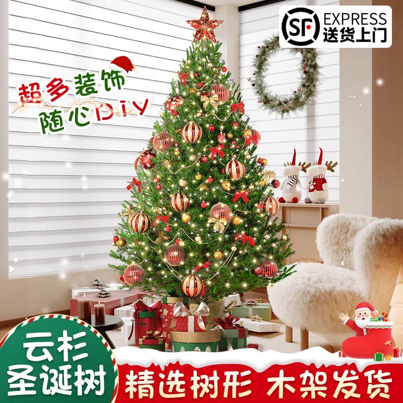 真圣诞树真树装饰客厅挪威云杉树圣诞节氛围大型绿植盆栽苗诺贝松
