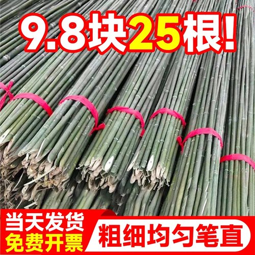防腐防裂买一次重复用蔬菜爬藤架