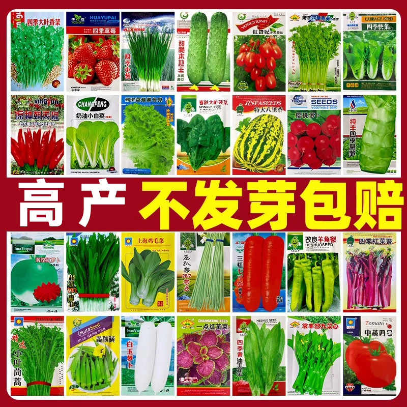 蔬菜种子大全农家菜种籽四季播耐热生菜香菜种子高产萝卜种孑白菜
