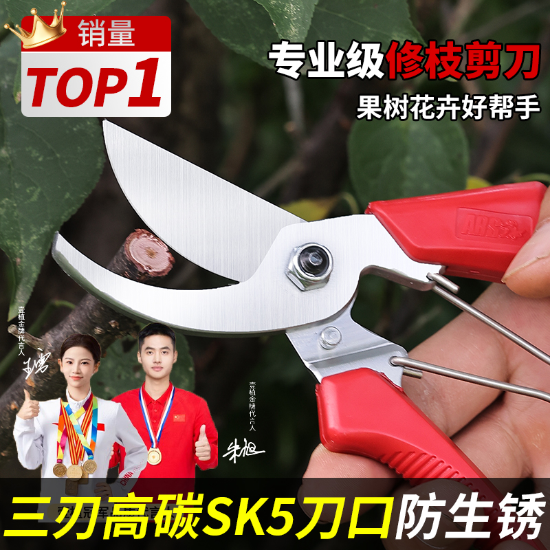 果树剪刀日本爱丽斯修枝神器园艺修剪剪枝剪树剪花卉枝剪刀园林