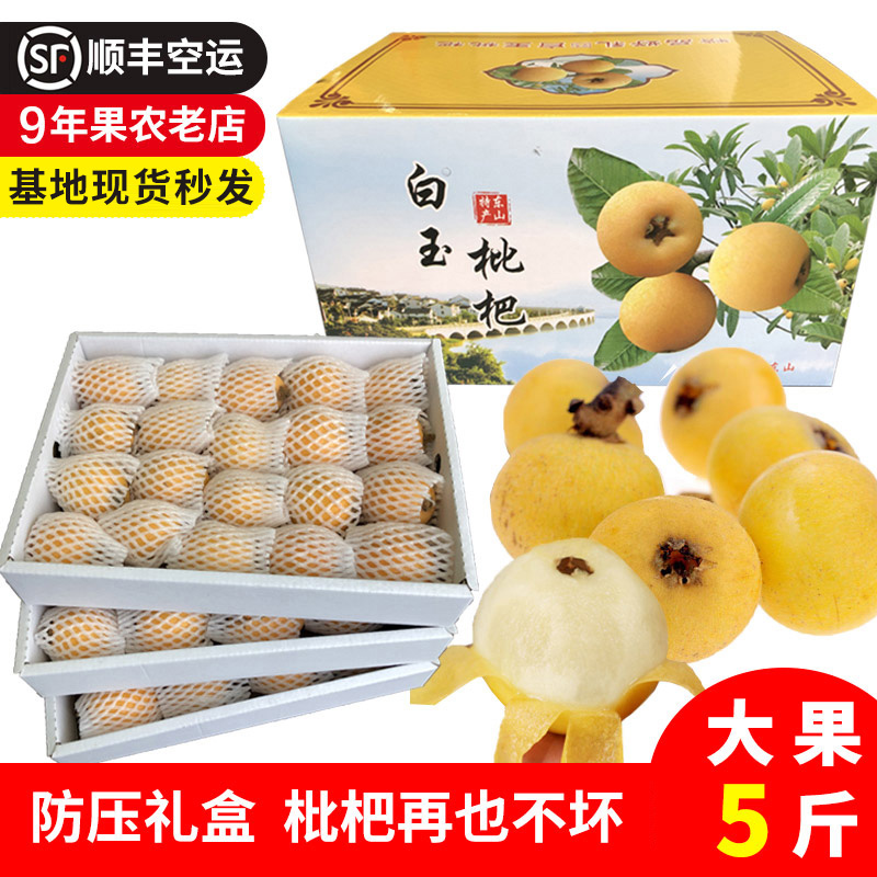 苏州东山白玉白沙枇杷5斤新鲜水果精品礼盒装琵琶大果非西山青种