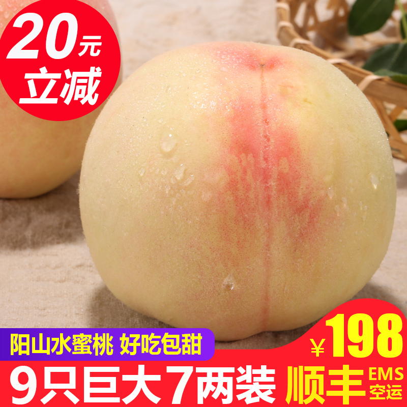 正宗无锡阳山水蜜桃6-7两9个超大软桃子新鲜现季水果阳山湖景
