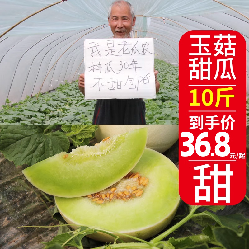 上海南汇玉菇甜瓜白皮大果绿肉香瓜冰淇淋玉茹新鲜水果现摘10斤装