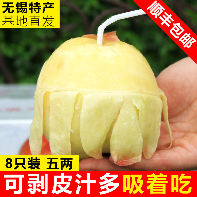正宗无锡阳山水蜜桃5两8个礼盒新鲜水果现货软桃子阳山白凤湖景