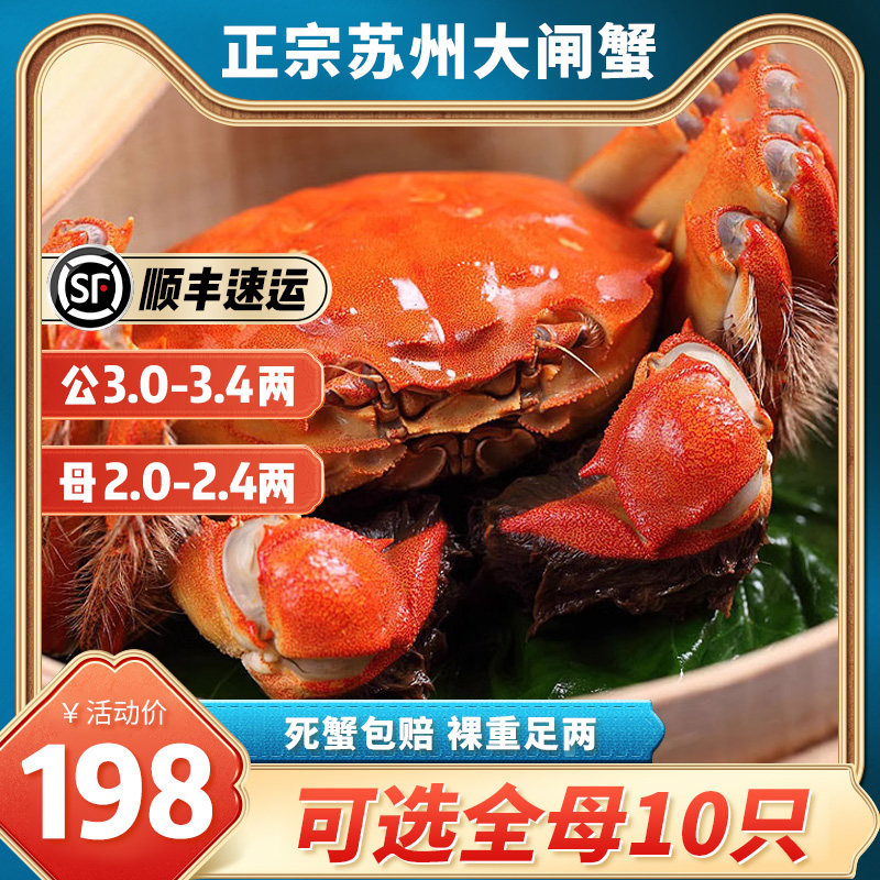 活蟹正宗苏州太湖大闸蟹公3.0-3.4两母2.0-2.4鲜活礼盒装螃蟹特大怎么看?