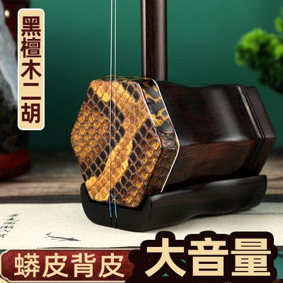 二胡黑檀木大音量专业演奏