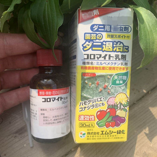 日本三井红蜘蛛叶螨菖蒲蔬果月季