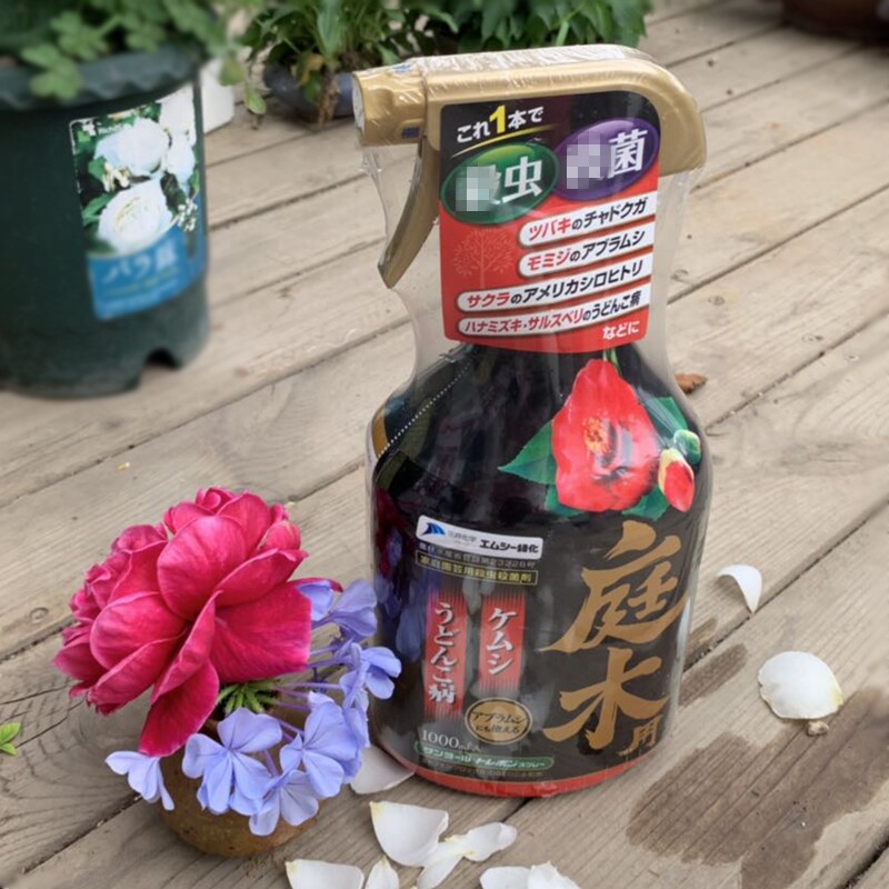 杀虫杀菌三井松柏盆景蚜虫红蜘蛛