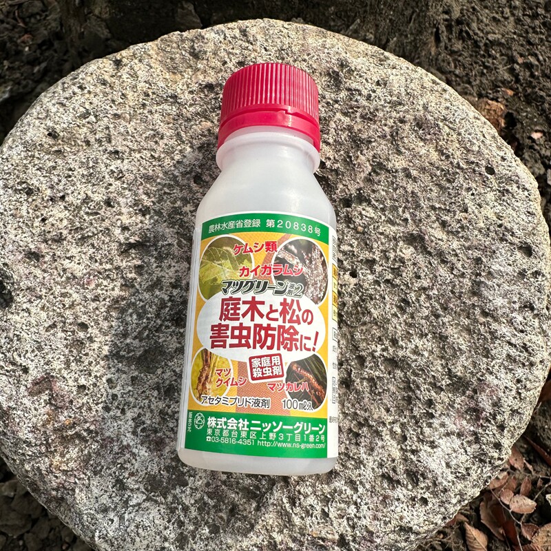 黑松树杂木盆景除虫网蝽军配虫青虫刺毛臭屁虫洋辣子日本家庭园艺