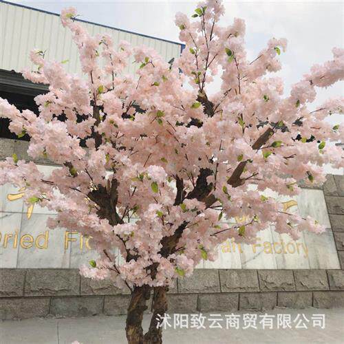 香槟色樱花树婚庆影楼装饰仿真拱门多头仿真花仿真花藤