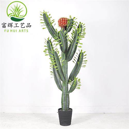 仿真仙人掌仙人棒仙人柱花盆栽假花套装组合家居装饰道具摆件
