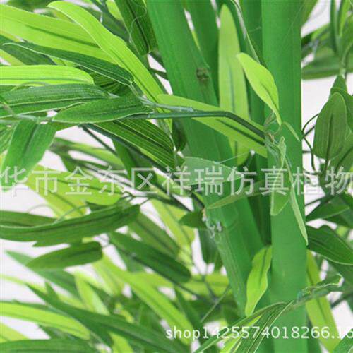 仿真植物竹林富贵竹叶竹排杆过胶拍摄竹子背景DIY墙工程装饰摆设