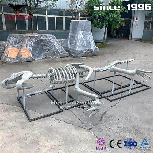 玻璃钢霸王龙化石骨架树脂混合材质商场中庭美陈自贡恐龙厂家