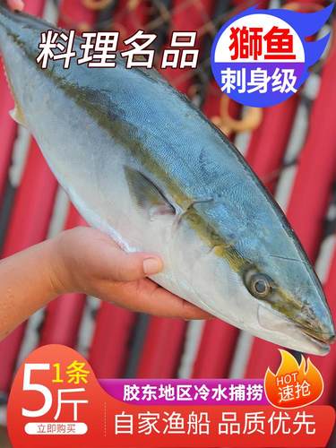 油甘鱼质量怎么样 油甘鱼口碑怎么样 小麦优选
