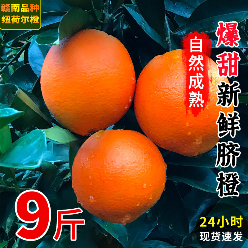 超甜纽荷尔脐橙子9斤新鲜水果当季整箱大果510斤江西赣州赣南品种怎么样,好用不?