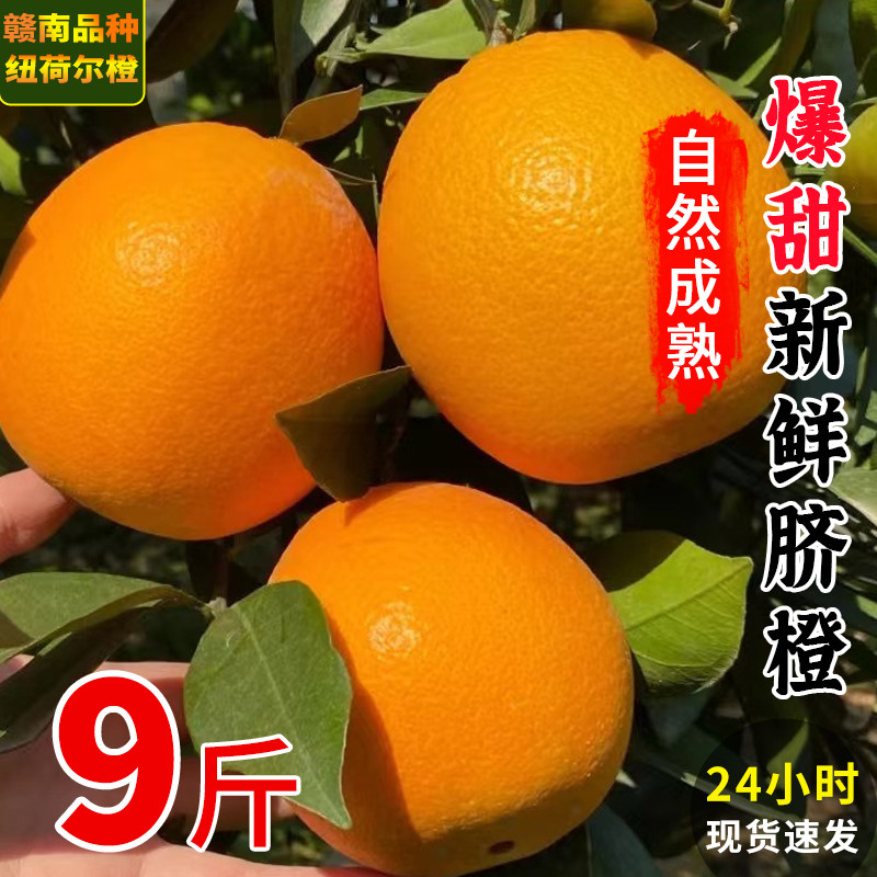 超甜纽荷尔脐橙子9斤新鲜水果当季整箱大果510斤江西赣州赣南品种怎么样,好用不?