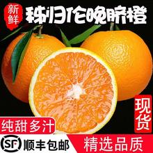 10斤 新鲜应季 水果整箱5 顺丰湖北秭归伦晚脐橙手剥甜橙子大果夏季