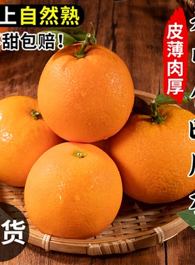 爆汁纯甜伦晚脐橙秭归橙子纽荷尔新鲜水果9斤大果当季5斤冰糖甜