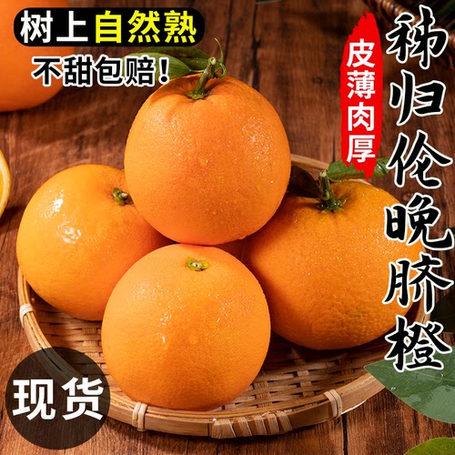 【9斤特大果29.8】爆汁秭归脐橙