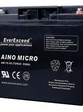 EverExceed蓄电池 AINO MICRO AM12-22 12 Volt 22AH 免维护电池