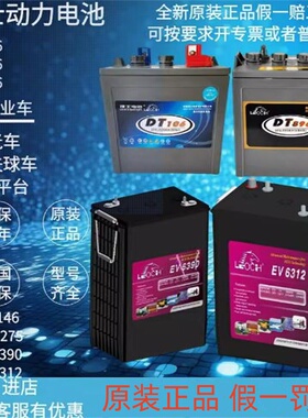 理士蓄电池EV6390升降平台EV6312 DT106 6v225ah洗地机观光车电瓶