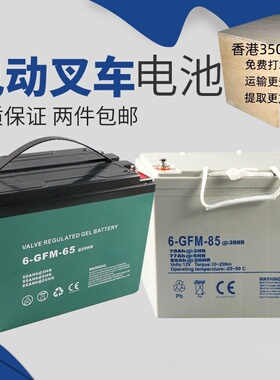 中力电动叉车电池12V小金刚配件电瓶蓄电池6-GFM30A65A85AH免维护