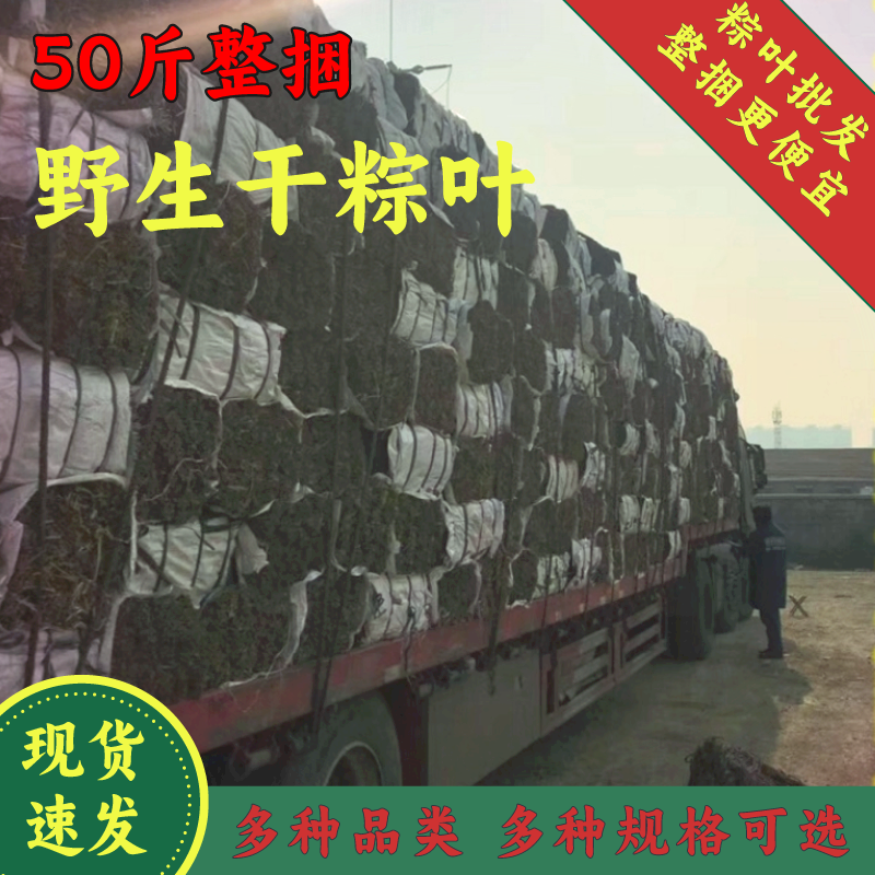 商用野生粽叶整捆50斤包邮麻竹叶箬叶重庆麻竹叶端午干粽叶