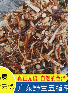 广东罗定农家野生无硫五指毛桃根煲汤材料五爪龙新鲜干货五指牛奶
