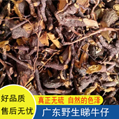 野生睇牛仔苦里根苦李根掌牛仔狐狸根拿柳山黑黎罗根罗定特产煲烫