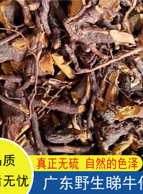 野生睇牛仔苦里根苦李根掌狐狸根