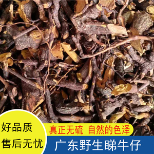 野生睇牛仔苦里根苦李根掌狐狸根