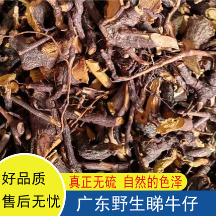 野生睇牛仔苦里根苦李根掌牛仔狐狸根拿柳山黑黎罗根罗定特产煲烫