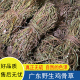 野生鸡骨草广东煲汤无叶干货无硫农家自晒散装 大黄草黄头草藤500g