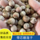 带芯红莲子新货大粒500g有芯红皮莲子特产无硫湘潭莲子干货煲汤料