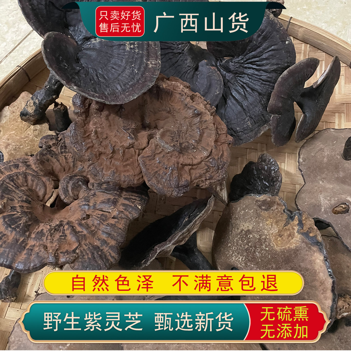 广西大山野生紫灵芝农家自采晒干整枝正宗灵芝无硫熏干货煲汤不苦