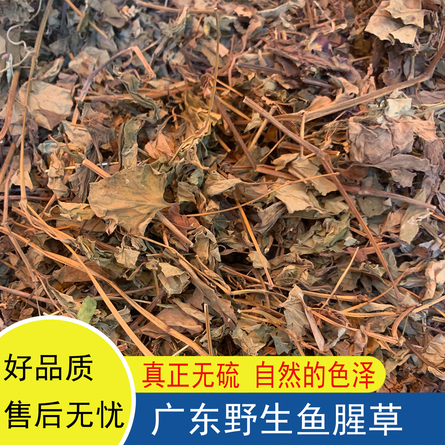 野生鱼腥草折耳根干货广东煲汤泡水喝鱼腥草茶无硫折耳根自然晒干