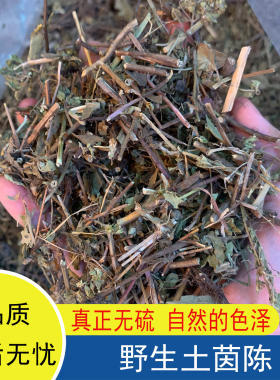 土茵陈阴行草野生铃茵陈干货广东煲汤泡水无硫牛至草刘寄奴吊钟草