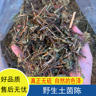 土茵陈阴行草野生铃茵陈干货广东煲汤泡水无硫牛至草刘寄奴吊钟草
