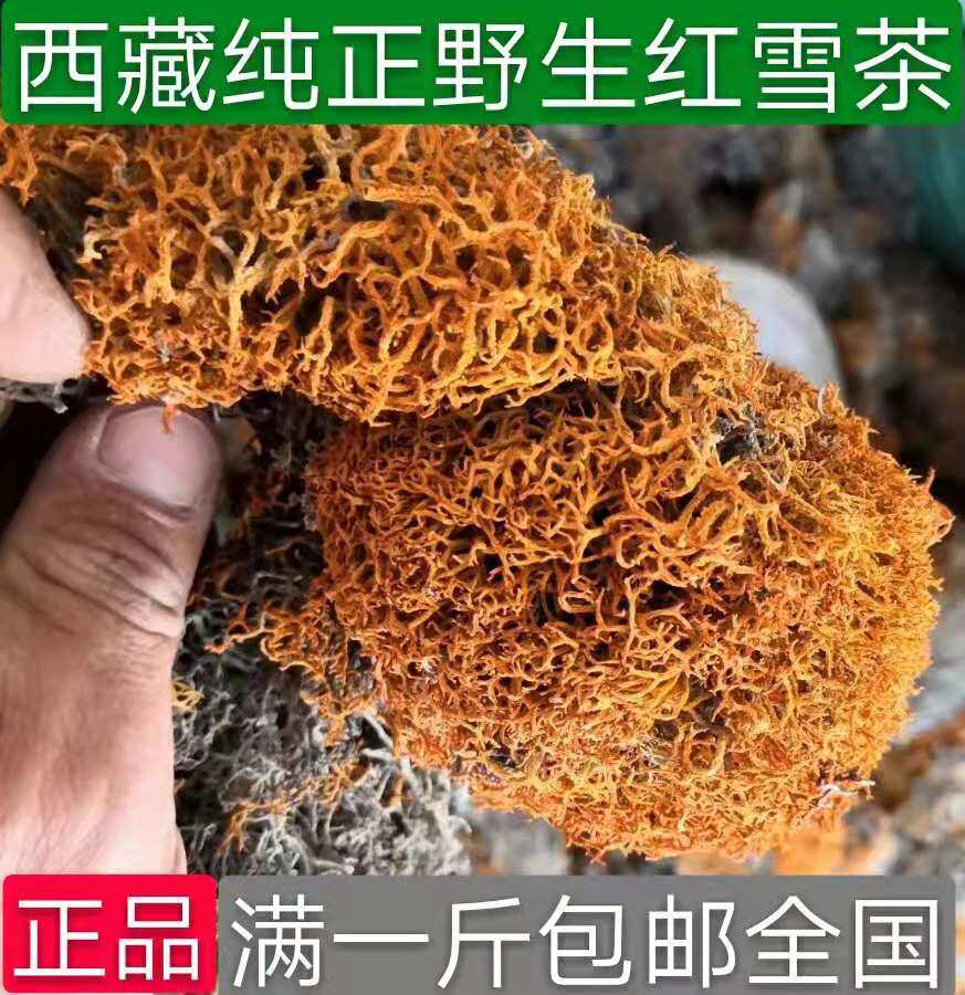 老君山灵芝西藏正宗野生红雪茶鹿心茶金刷把金丝茶500g包邮