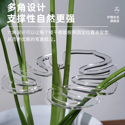 植物枝干支撑杆防倒伏支架固定器收拢架龟背竹水培神器绿植花支架