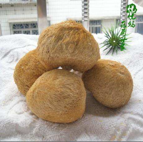 新货 古田农家猴头菇250g 猴头王   非东北野生 无熏硫 2件包邮